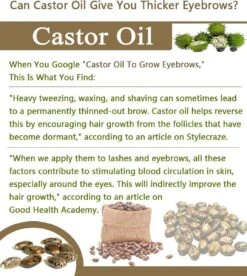 Your Beauty Tree ® Wimper Serum Met Echte Castor Olie |100% Natuurlijke Wimpergroei| Castor Oil Eyelash Serum|Wonder Olie | Wimper Groei | Wenkbrauw Serum | Lash Serum | Wimper Groeimiddel 13 Your Beauty Tree ® Wimper Serum Met Echte Castor Olie |100% Natuurlijke Wimpergroei| Castor Oil Eyelash Serum|Wonder Olie | Wimper Groei | Wenkbrauw Serum | Lash Serum | Wimper Groeimiddel -Cosmetica Promotiewinkel 1075x1200 2