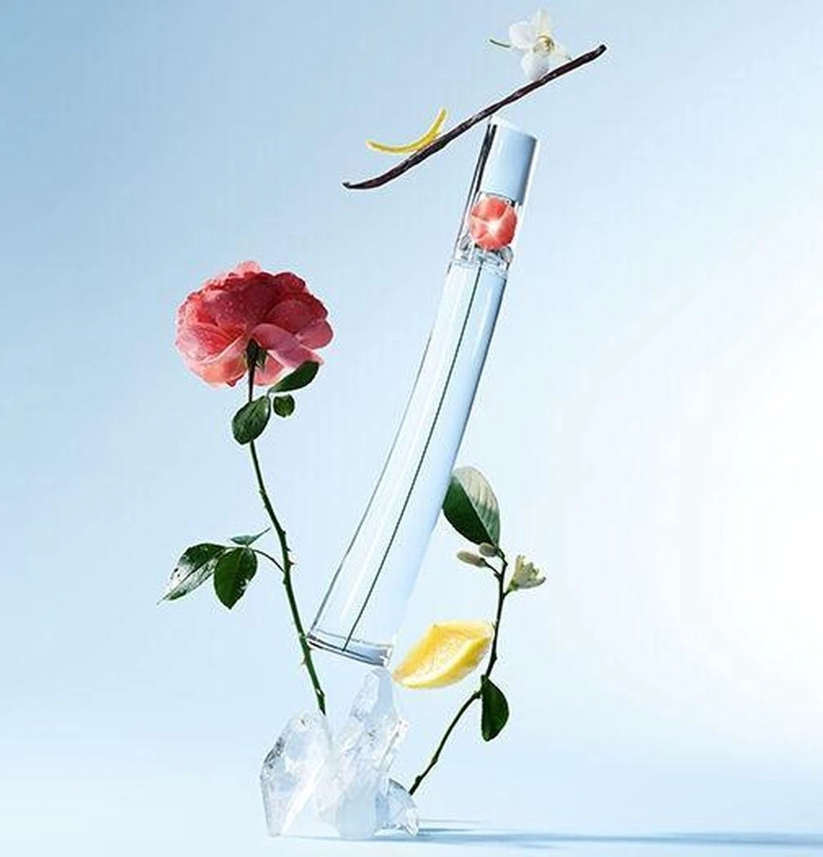 KENZO Flower By Kenzo - Vrouwen - 50 Ml - Eau De Toilette 5 KENZO Flower By Kenzo - Vrouwen - 50 Ml - Eau De Toilette - Afbeelding 3