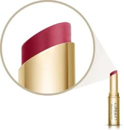 Max Factor Lipfinity Long Lasting Lipstick - 65 So Luxuriant -Cosmetica Promotiewinkel 1155x1200