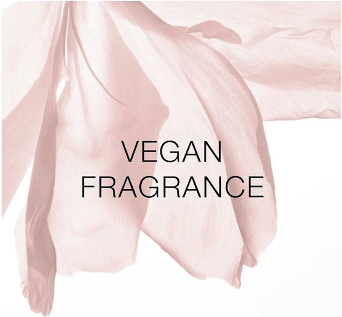 Narciso Rodriguez Narciso Cristal Eau De Parfum Spray 30 Ml 12 Narciso Rodriguez Narciso Cristal Eau De Parfum Spray 30 Ml - Afbeelding 10