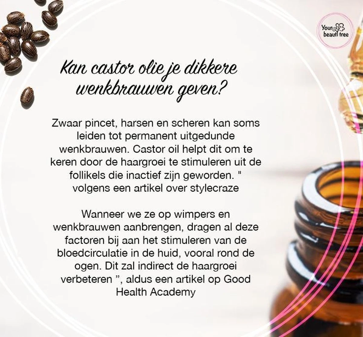Your Beauty Tree ® Wimper Serum Met Echte Castor Olie |100% Natuurlijke Wimpergroei| Castor Oil Eyelash Serum|Wonder Olie | Wimper Groei | Wenkbrauw Serum | Lash Serum | Wimper Groeimiddel 7 Your Beauty Tree ® Wimper Serum Met Echte Castor Olie |100% Natuurlijke Wimpergroei| Castor Oil Eyelash Serum|Wonder Olie | Wimper Groei | Wenkbrauw Serum | Lash Serum | Wimper Groeimiddel - Afbeelding 5