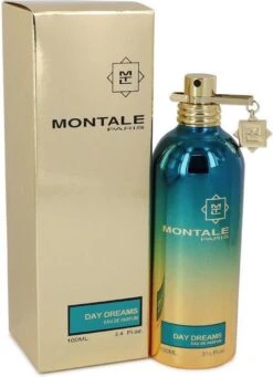 Montale Day Dreams Eau De Parfum 100ml -Cosmetica Promotiewinkel 870x1200